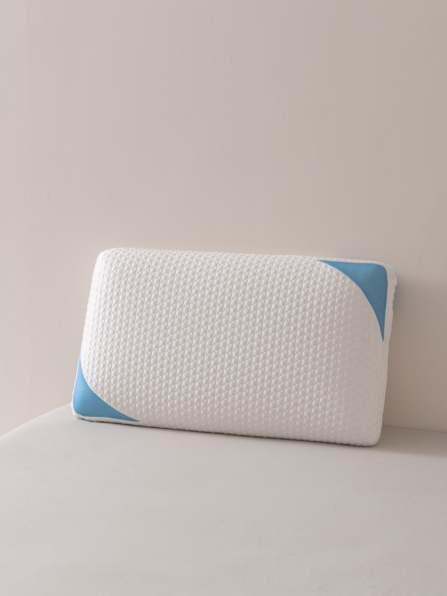 Glaciertex Pillow