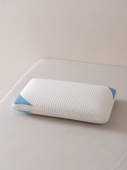 Glaciertex Pillow