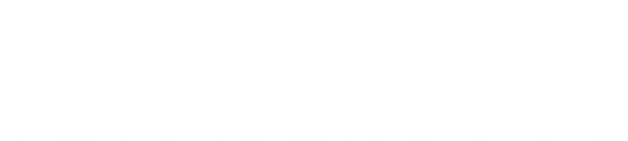 Footer Logo
